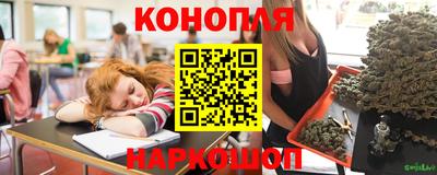 мдпв Гай