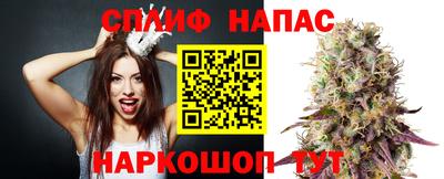 спайс Гагарин