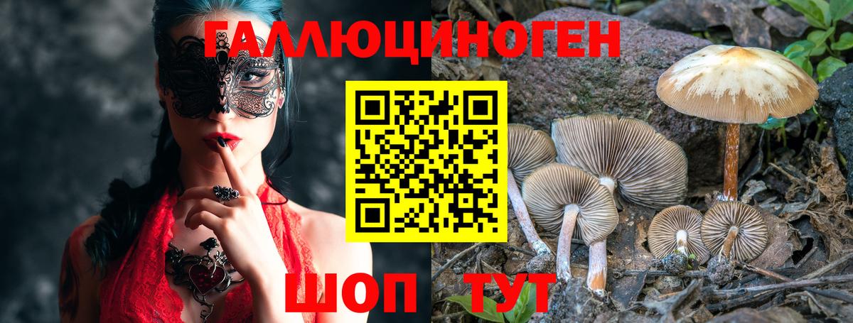 Мурино  Галлюциногенные грибы прущие грибы  Вход с VPN  Галлюциногенные грибы GOLDEN TEACHER 
